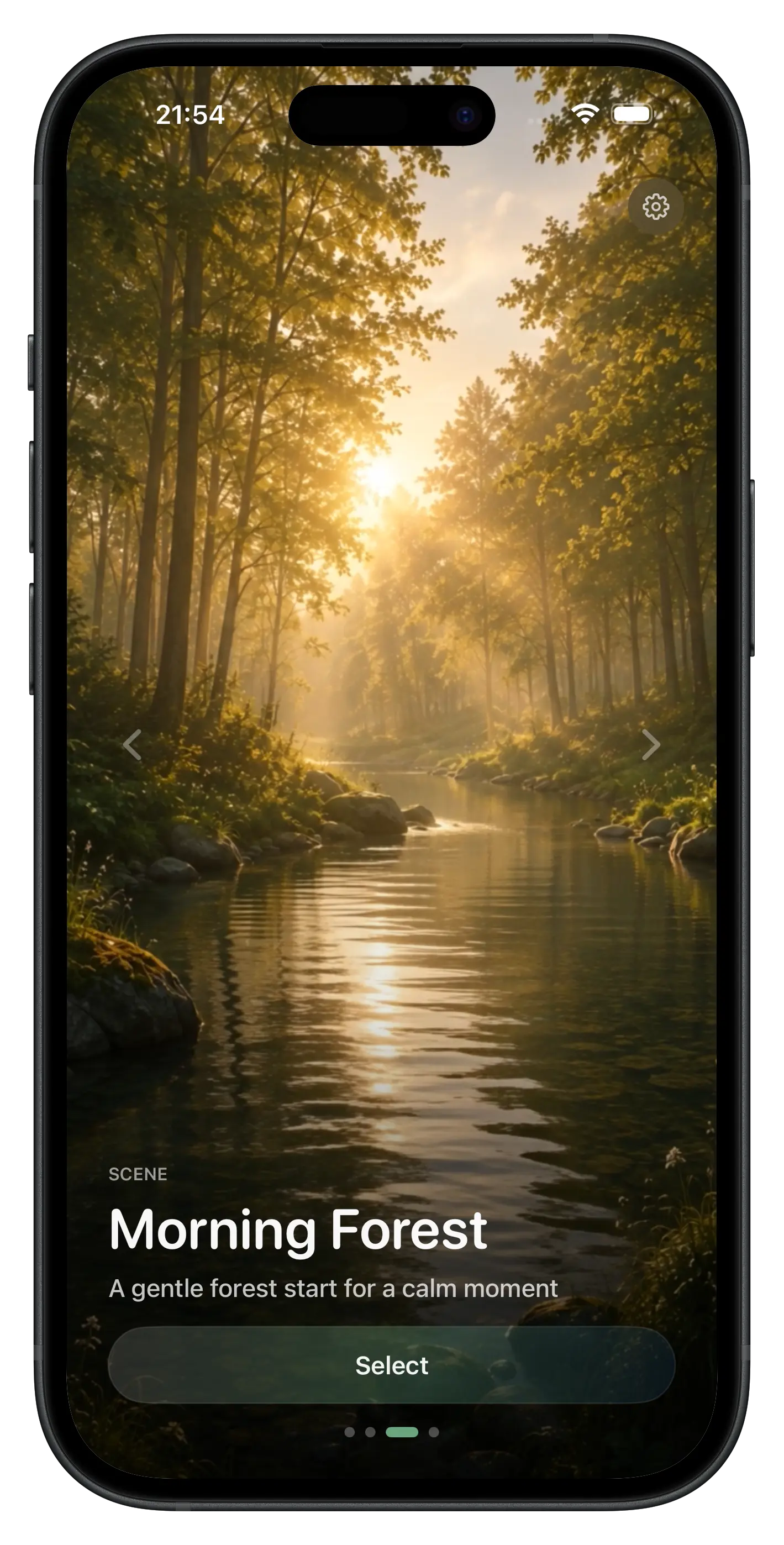 Calm Pulse settings screen with audio and language controls